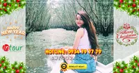 Tour miền tây Mỹ Tho - Tiền Giang 1 ngày Tết Dương Lịch 2026