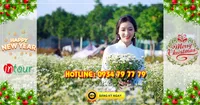 Tour miền Tây Đồng Tháp - Chùa Lá Sen 2 ngày 1 đêm Tết Dương Lịch 2026
