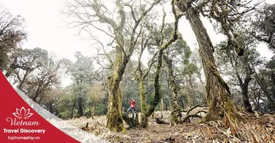 Tour trekking leo núi Khang Su Văn 3 ngày 2 đêm