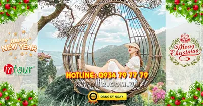 Tour Đà Lạt 3 ngày 2 đêm Tết Dương Lịch 2026