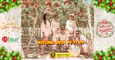 Tour Ninh Chữ Vĩnh Hy 2 ngày 2 đêm Tết Dương Lịch 2026