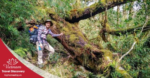 Tour trekking leo núi Pu Ta Leng 3 ngày 2 đêm