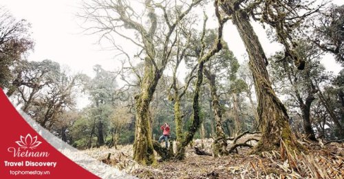 Tour trekking leo núi Khang Su Văn 3 ngày 2 đêm