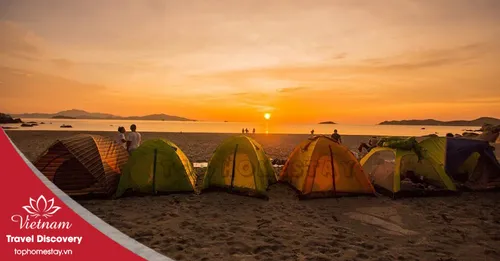Tour Cắm Trại + BBQ Bãi biển FLC Nhơn Lý Quy Nhơn 1 Đêm