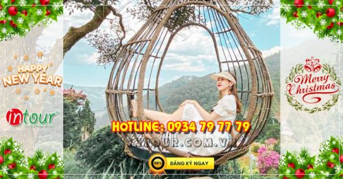 Tour Đà Lạt 3 ngày 2 đêm Tết Dương Lịch 2026