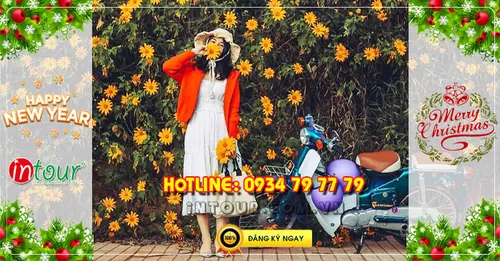 Tour Đà Lạt 3 ngày 3 đêm Tết Dương Lịch 2026