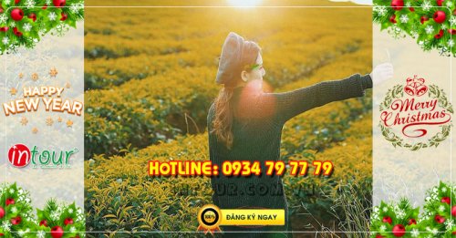Tour Sapa Điện Biên Mộc Châu Mai Châu 4 ngày 3 đêm Tết Dương Lịch 2026