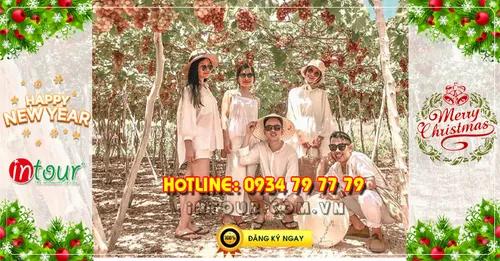 Tour Ninh Chữ Vĩnh Hy 2 ngày 2 đêm Tết Dương Lịch 2026
